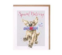 Wrendale Designs - 'Special Delivery' Card