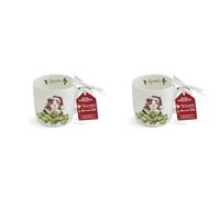 Wrendale Designs Sprouts (Guinea Pig) Single Mug (Pack of 2)