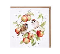 Wrendale Designs - The Apple Tree' sparrow card