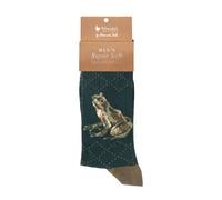 Wrendale Designs The Happy Frog' Frog Men's Socks