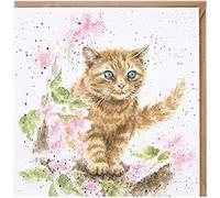 Wrendale Designs - 'The Marmalade Cat' Card