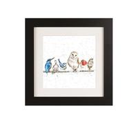 Wrendale Designs "Variety Of Life" Bird Framed Picture in Various Frame Colours (Black)