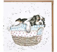 Wrendale Designs - 'Wash, Dry, Fold Repeat' Card