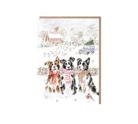 Wrendale Designs - While Shepherds Watched' Border Collie Advent Calendar Card