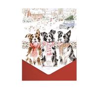 Wrendale Designs - While Shepherds Watched' Dog Christmas Card Pack