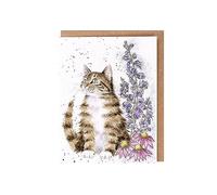 Wrendale Designs - 'Whiskers And Wildflowers' Seed Card