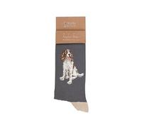 Wrendale Designs Men's Sock – Willow' Spaniel