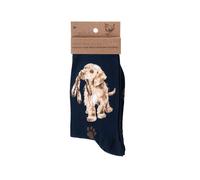 Wrendale Hopeful Dog Navy Bamboo Socks
