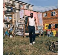Wretch 32 - Home? [VINYL]