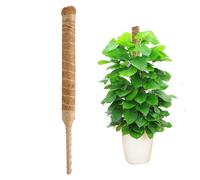 Wriligel Reptile Vines Climbing Branch 30cm Bendable Moss Rope for Terrarium Decor, Flexible Jungle Vine for Gecko and Snake Enclosures, Natural Habitat Accessories for Lizards and Amphibians