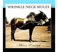 Wrinkle Neck Mules - Minor Enough