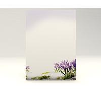 Writing Paper"Crocuses" 20 Sheets of A4 100 g/qm High-Quality Letter Paper for Laser/Ink/Copy/Hand