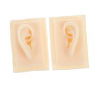 WRITWAA 1pair Simulation Ear Models Realistic Teaching Ear Model for Anatomy Display Educational Tool for Students and Professionals