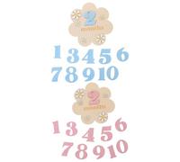 WRITWAA 2 Sets Wood Puzzle Picture Frame Calendar Poster Month Plaques for Shower Photo Board Decorative Wall Flowers for Family Birthday Valentine's Day Flower Ornaments Plaque