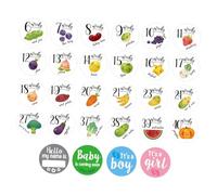 WRITWAA 28pcs Pregnant Belly Stickers Maternity Women Bump Decals Weekly Growth Photography Props for Expecting Mothers Newborn Set