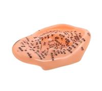 WRITWAA Human Ear Acupuncture Model Chinese Medicine Ear Massage Acupoint Display for Home Use Ergonomic Design for Easy Self-Massage Improves Sleep Multi-acupoint Model