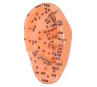 WRITWAA Realistic Ear Acupuncture Points Model for Teaching and Massage Ear Reflexology Training Tool for Chinese Medicine Display of Acupressure Points for Clinical and Educational Use