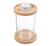 WRITWAA Small Desk Aquarium with Detachable LED Lighting and Wooden Base, Crystal Glass Fish Tank for Stress-relieving and Portable Use on Desks and Bedside Tables