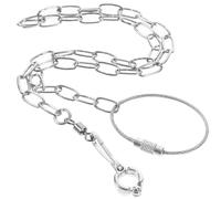 WRITWAA Stainless Steel Parrot Bird Foot Chain Lightweight Rust Resistant Training Leash with Open Foot Loop Design for Enjoying Time with Your Birds Outdoors