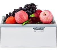 Wrobelax Ultrasonic Cleaner Fruit And Vegetable Washing Machine Multifunctional Household Automatic Fruit And Vegetable Disinfection Machine Food Purifier Food Detoxification Machine