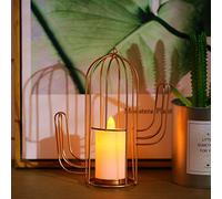 Wrought Iron Girls Heart Confession Gift Girlfriend Bedroom Decoration Battery Lamp (Cactus Battery Style)