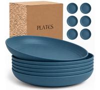 Wrova Reusable Plastic Plates Set of 6-10 Inch Big Plates Unbreakable Deep Plate Set Dishwasher & Microwave Safe Plastic Plates Reusable - Lightweight Plate for Salad, Fruit, Chip - DarkBlue