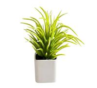 WRWIZDR Planter Plant Accent, A | 1: 12 Scale Doll House Scene Faux Greenery Decor Piece for Balcony Shelf Styling, Collector Use