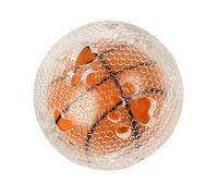 WRWIZDR Wipe-Clean Dog Ball for Dogs Interactive Sound Fun, Basketball