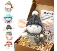 Wryhaul Mini Bunny Hug Cute Easter Gift, Bunny Stuffed Animal Sets with Inspirational Card Desk Decor, Teacher Students Party and Valentine's Day Easter Gifts (STYLE-B)
