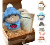 Wryhaul Mini Bunny Hug Cute Easter Gift, Bunny Stuffed Animal Sets with Inspirational Card Desk Decor, Teacher Students Party and Valentine's Day Easter Gifts (STYLE-C)