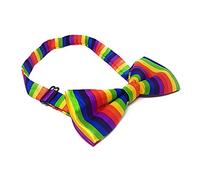 WS UK Adults Bow Tie - Rainbow