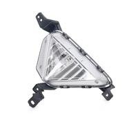 WSBOJXTH Compatible With Hyundai For Elantra For Sedan 2019 2020 Without Bulb Car Front Bumper Fog Light Turn Signal Lamp Cover 92302F2510 92301F2510 Replacement Parts(Left)