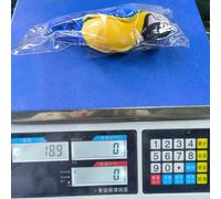 Wscwl Chirping Cat Toy - Interactive Plush Pet Games with Sound | Parrot Stuffed Animal - for Play Training Exercise Hunting Boredom Mental Stimulation Hunting Simulation Scratching