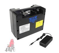 WSDAV Electric Wheelchair Battery 24V 12AH 20AH 40AH Removable Lithium ion Batteries Pack 24 Volt with Charger for 0-1000W Motorized Wheelchair Motor,24V12AH