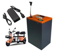 WSDAV Motorcycle Battery 48V 60V 72V LiFePO4 Battery 12Ah 20Ah 30Ah 40Ah 50Ah 60Ah with Charger for Tricycle Motor,60V50Ah