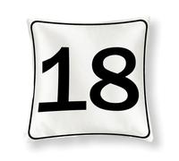WSDESDEC Satin Throw Pillow Covers 16x16in Number Signs 18 Country Pillow Case Accent Parking Spot Number Farmhouse Decor Square Silk Pillow Shams for Playroom Bench Office