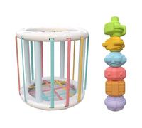 Wsdsgz Fine Motor Skills Training Toy Shape Sorting Cubes for Babies Sensory Exploration Educational Play ABS