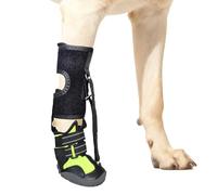 Wsdsgz Not Knuckling Boot Brace for Dog Dragging Paws Corrective Shoes Drops Foot Dogs with Feet Issue Foot with Reel