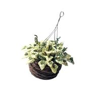 Wsdsgz Realistic Hanging Miniature Potted Plant Doll House Accessories 1/12 Scale Craft Succulents Scene Display Decoration Miniature Hanging Potted