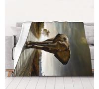 WSHFFILO 3D Elephant printed Ultra-Soft Micro Fleece Blanket Warm Blanket