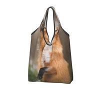 WSHFFILO Animal Fox Pattern printed Portable shopping bag storage bag tote
