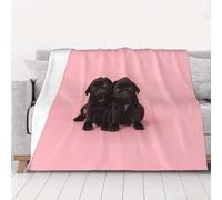 WSHFFILO Cute Black Pug printed Ultra-Soft Micro Fleece Blanket Warm Blanket