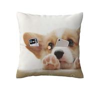 WSHFFILO Cute Corgi printed Linen Decorative Throw Pillow decorative pillowcase