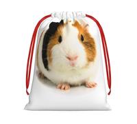 WSHFFILO Cute Guinea Pig printed Drawstring Gift Bag Decoration Gift Wrap Bags