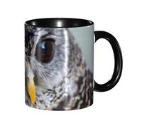 WSHFFILO Cute Owl Printed Mug Double-Coloured Mug Ceramic Mug