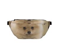 WSHFFILO Cute Pomeranian Dog Printed Crossbody Waist Pack Casual Chest Bag