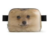 WSHFFILO Cute Pomeranian Dog Printed Square-Shaped Fashionable Waist Bag Casual Chest Bag