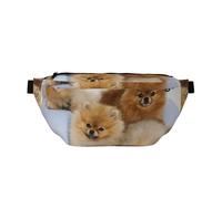 WSHFFILO Cute Pomeranian Printed Crossbody Waist Pack Casual Chest Bag