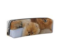 WSHFFILO Cute Pomeranian Printed Leather Pencil Case Pencil Pouch