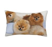 WSHFFILO Cute pomeranian printed pillow case Throw pillow Decorative Pillow Cover